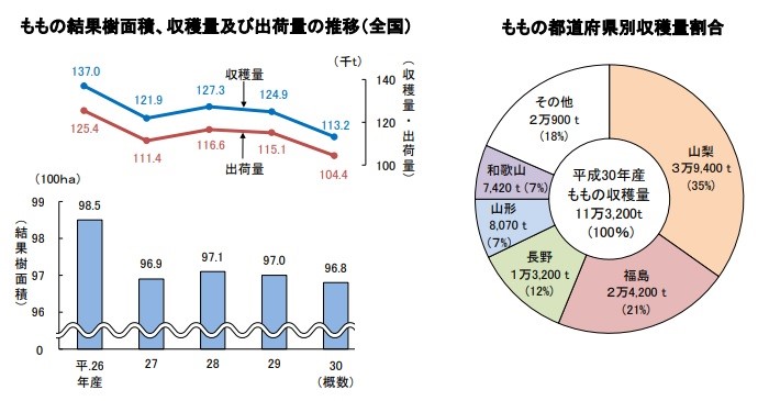 ふるさと納税でおすすめの桃の返礼品は ランキングや口コミも 19年版 ふるさと納税コラム 金融 投資メディアhedge Guide