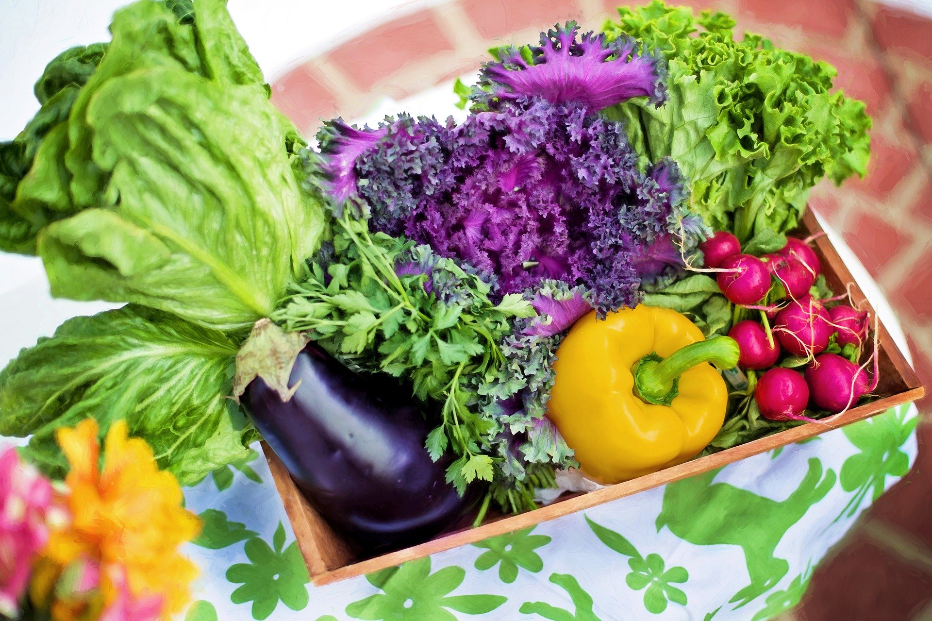 ふるさと納税でもらえる新鮮な野菜の人気ランキング【2020年4月】 | ふるさと納税の比較・ランキングならHEDGE GUIDE