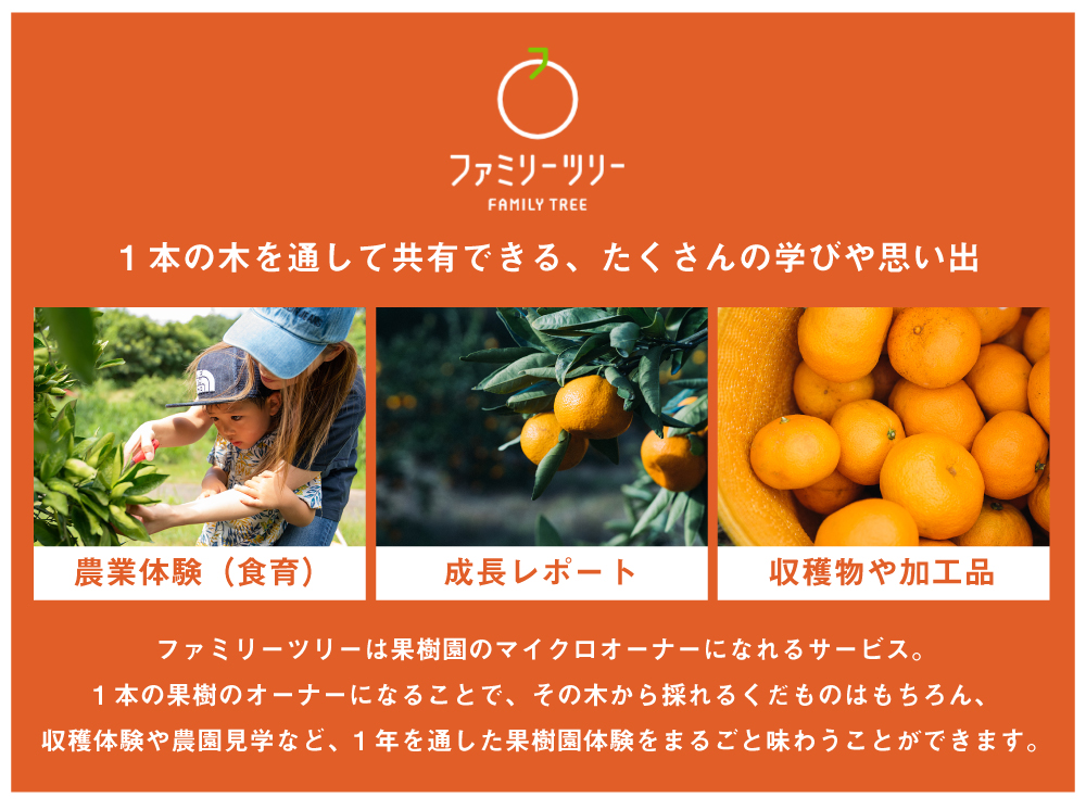 ユーザーが果樹園の果樹を1本から所有するマイクロオーナーになることができる会員制サービス「ファミリーツリー」