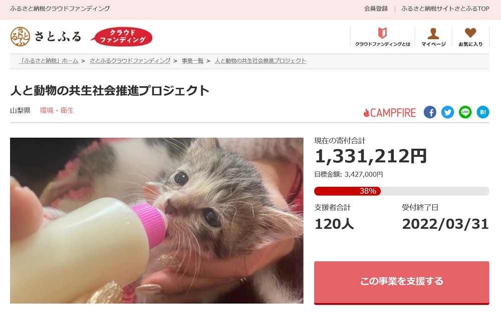 ふるさと納税で幸せな犬 猫を増やしたい さとふる で動物保護 育成関連事業の寄付金が4年間で約6倍に 寄付情報メディア Hedge Guide